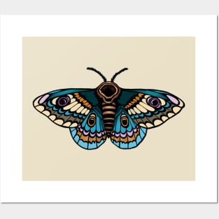 Moth Butterfly Design Posters and Art